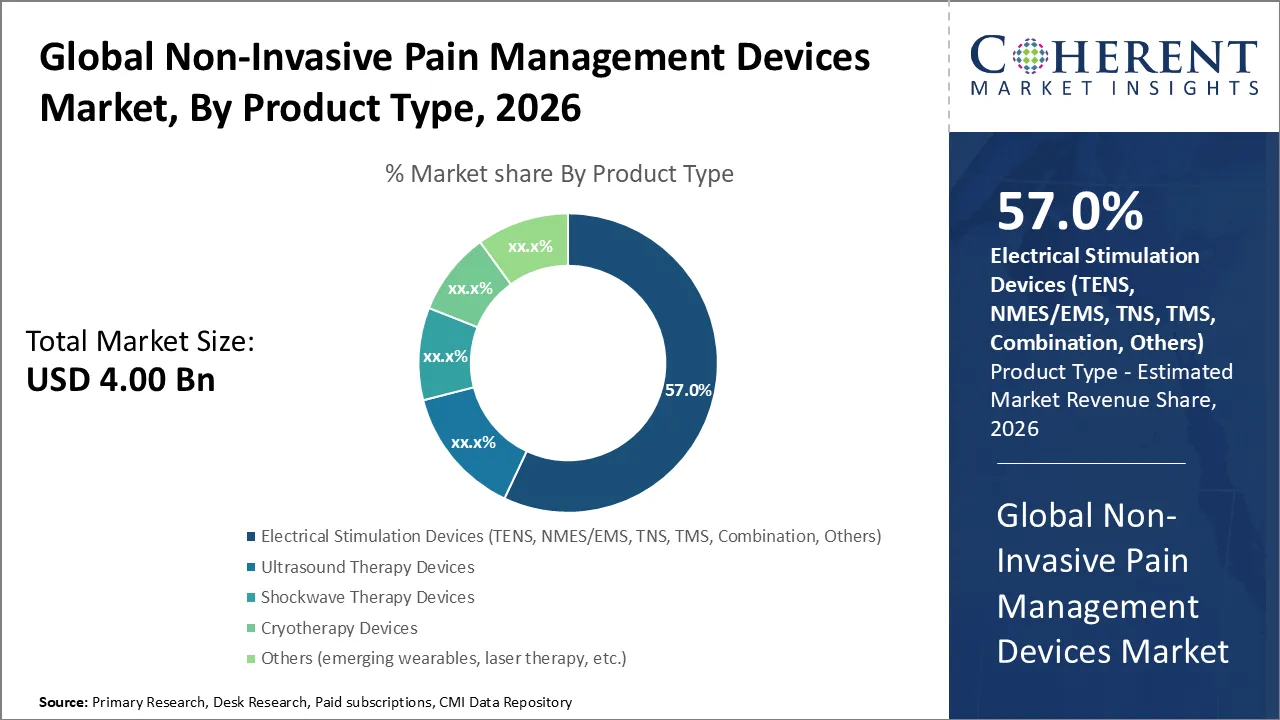 Non-Invasive Pain Management Devices Market By Product Type